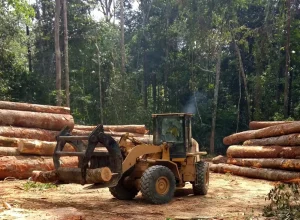 uniao-europeia-nao-supera-impasse-e-deve-perder-prazo-para-apresentar-metas-climaticas