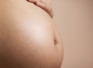 estudo-busca-eliminar-transmissao-vertical-de-virus-que-causa-leucemia