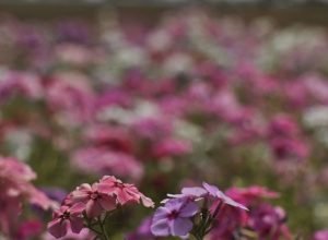 primavera-comeca-com-chegada-de-frente-fria,-temporais-e-fortes-ventos