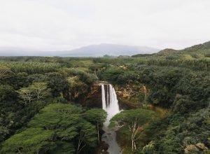 entenda-como-os-“rios-voadores”-da-amazonia-levam-chuvas-ao-resto-do-brasil