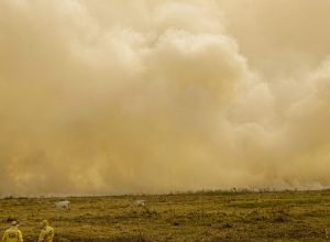 inmet-alerta-para-grande-perigo-por-baixa-umidade-em-5-estados-e-no-df