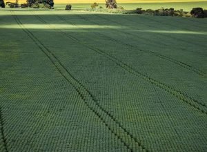 prazo-para-entregar-declaracao-do-itr-2025-termina-nesta-terca-feira