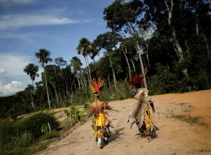 pais-cumpre-meta-de-protecao-de-terras-indigenas-estabelecida-pelo-stf