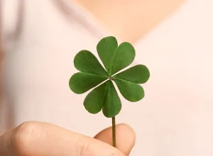 lua-em-leao-traz-virada-de-sorte-para-tres-signos-do-zodiaco