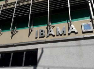 ibama-nega-licenca-para-usina-termeletrica-a-gas-natural-em-brasilia