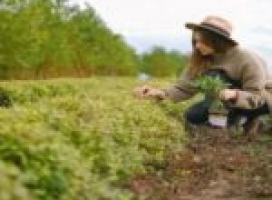 sao-paulo-e-destaque-internacional-em-“empregos-verdes”