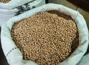 feijao-para-uma-vida-melhor:-a-nova-dieta-revolucionaria