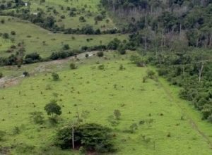 governo-prorroga-prazo-para-georreferenciamento-de-imoveis-rurais