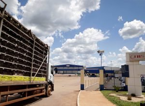 jbs-e-alvo-de-acao-judicial-nos-eua-por-meta-climatica