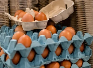 como-evitar-essa-doenca-encontrada-em-alimentos-comuns?