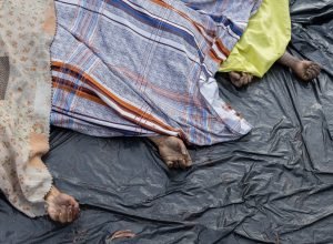 operacao-no-rio-vazou-e-mortes-comecaram-antes-de-incursao-em-favelas,-mostra-documento