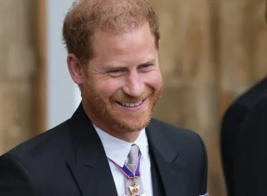 principe-harry-conta-que-filhos-costumam-invadir-as-suas-reunioes