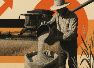 acordo-eua-china-para-soja-acende-alerta,-mas-pode-trazer-oportunidades