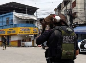 mega-da-virada-2025:-premio-pode-ultrapassar-r$-1-bilhao!