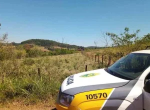 ladroes-abatem-vaca-e-furtam-partes-da-carne-em-jardim-alegre