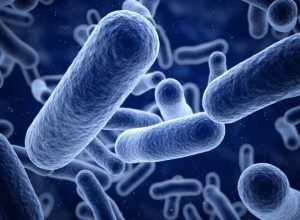 eua-enfrentam-surto-de-listeria