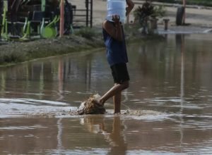 ranking-do-saneamento-2025:-veja-os-20-melhores-municipios-em-tratamento-de-agua-e-esgoto