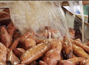 seca-aumenta-o-preco-da-batata-doce-em-sp