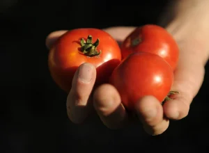 alimentos-do-dia-a-dia-que-antes-eram-considerados-improprios-para-consumo