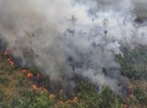 amazonia-bate-limite-de-1,5oc-acima-da-temperatura-media-pela-primeira-vez