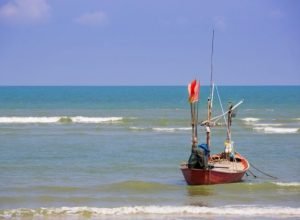 medida-provisoria-vincula-pagamento-de-seguro-defeso-ao-fornecimento-de-dados-biometricos-de-pescadores