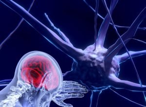 unesco-faz recomendacao-inedita-para-uso-etico-da-neurotecnologia