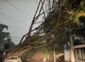 sao-paulo-deve-ter-noite-estavel,-mas-ventos-continuam-preocupando