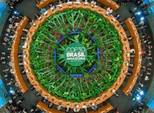 cop30:-tudo-que-voce-precisa-saber-sobre-o-evento