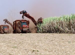 sao-martinho-reduz-lucro-no-2o-tri-da-safra-2025/26-para-r$-176,4-milhoes