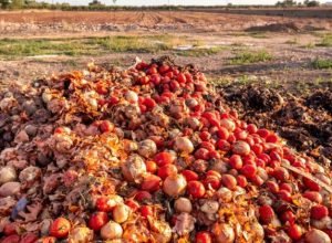 projeto-torna-crime-o-descarte-de-alimentos-aptos-para-consumo