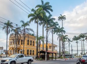 macae-sedia-o-8o-encontro-fluminense-de-arborizacao-urbana-em-dezembro