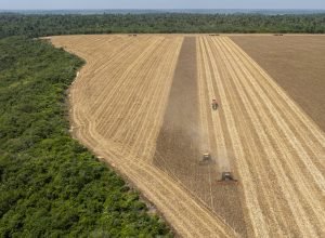 agro-fica-com-73%-da-verba-federal-para-adaptacao-ao-clima-no-brasil