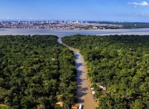 analise:-os-desafios-do-“mapa-do-caminho”-proposto-pelo-brasil