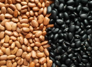 veja-quais-sao-os-beneficios-e-diferencas-entre-feijao-carioca-e-preto
