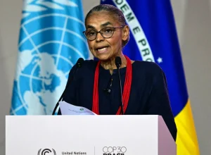 ‘foi-uma-demolicao-do-licenciamento-ambiental-brasileiro’,-diz-marina,-sobre-derrubada-de-vetos