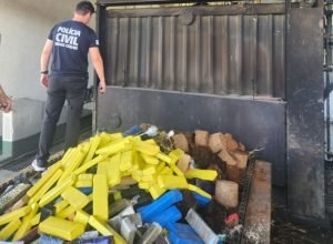 tres-toneladas-de-drogas-sao-incineradas-pela-policia-em-minas-gerais