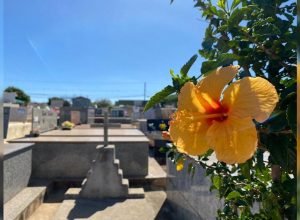 confira-os-falecimentos-deste-domingo-(30)-em-apucarana-e-regiao