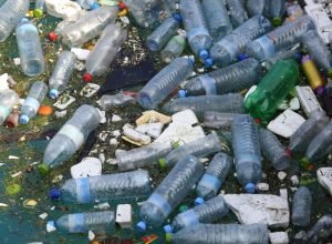 lixo-contaminou-gravemente-quase-metade-dos-ambientes-aquaticos-do-mundo