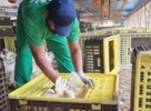 justica-manda-governo-lula-incluir-jbs-na-‘lista-suja’-do-trabalho-escravo