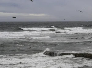 sinais-da-natureza-que-profetizam-terremotos-e-outros-desastres-naturais