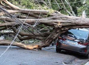 1,5-milhao-de-imoveis-estao-sem-energia-em-sp-apos-passagem-de-ciclone