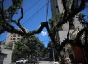 ventania-em-sp:-por-que-fenomenos-devastadores-devem-se-tornar-mais-comuns