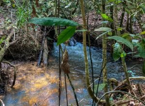 disponibilidade-de-agua-renovavel-no-mundo-caiu-7%-em-10-anos