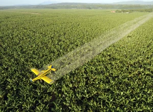 paises-que-mais-utilizam-pesticidas