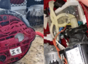 video-de-cafeteira-infestada-com-formigas-viraliza;-como-evitar-insetos?