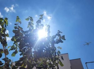 primeiro-dia-de-verao,-domingo-(21)-tem-sol-com-poucas-nuvens-em-sp