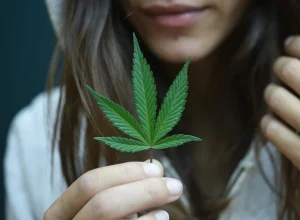 consumo-de-cannabis-entre-meninas-triplica-em-10-anos-e-chega-a-7,9%,-diz-unifesp
