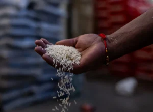 esses-alimentos-sobreviverao-ao-apocalipse