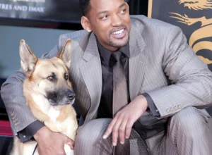 atores-que-se-apaixonaram-pelos-animais-com-os-quais-contracenaram-(alguns-ate-adotaram!)