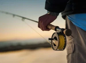 pescadores-profissionais-tem-ate-dia-31-para-comprovar-atividade